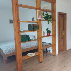 statek u Špuláka, Lomnice Nad Luznicí